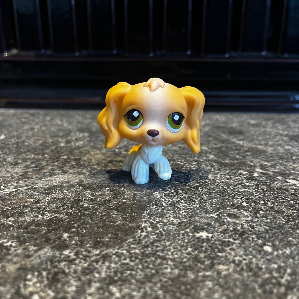 Littlest Pet Shop Cocker Spaniel #79🐾